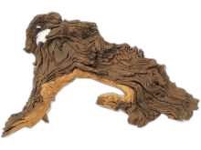 Équipement d'aquarium