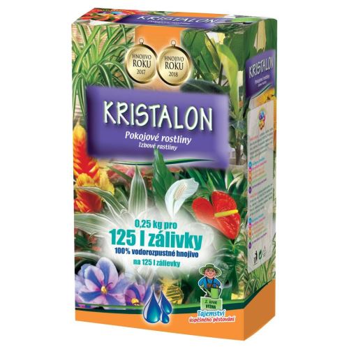 Kristalon Dünger Zimmerpflanzen 250g