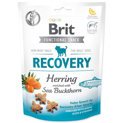 BRIT Care Dog Funktionssnack Recovery Hering 150 g