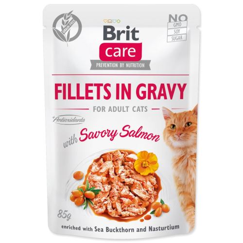BRIT Care Katzenfilets in Soße mit würzigem Lachs 85 g